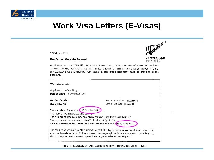 Work Visa Letters (E-Visas) 