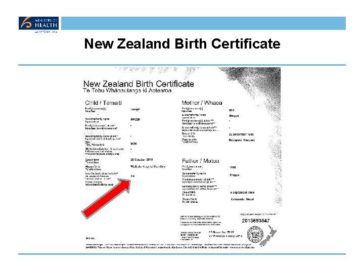 New Zealand Birth Certificate 