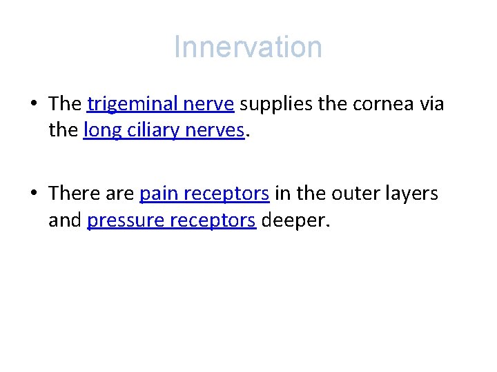 Innervation • The trigeminal nerve supplies the cornea via the long ciliary nerves. •
