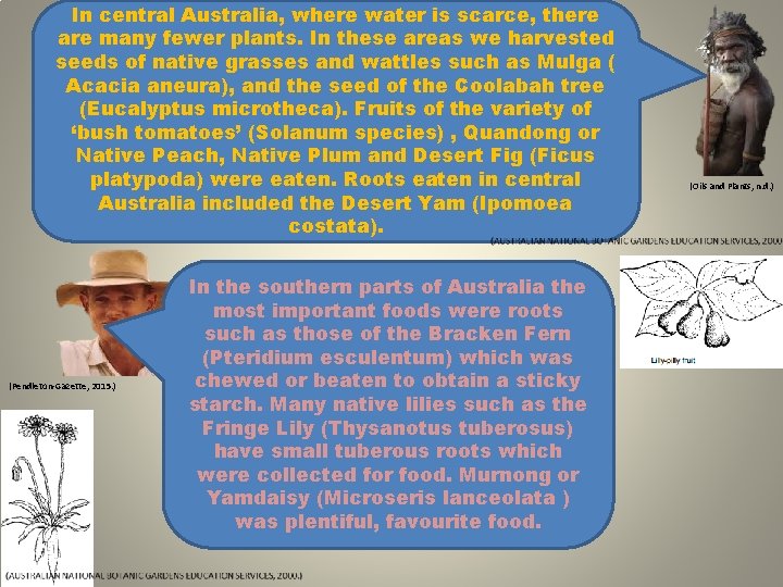 In central Australia, where water is scarce, there are many fewer plants. In these