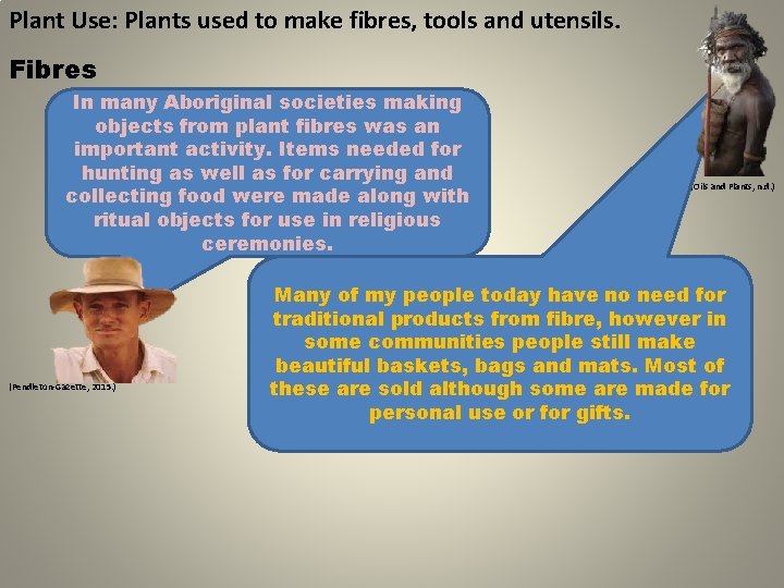 Plant Use: Plants used to make fibres, tools and utensils. Fibres In many Aboriginal