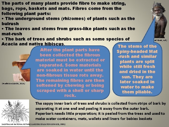 The parts of many plants provide fibre to make string, bags, rope, baskets and