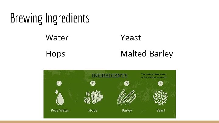 Brewing Ingredients Water Yeast Hops Malted Barley 