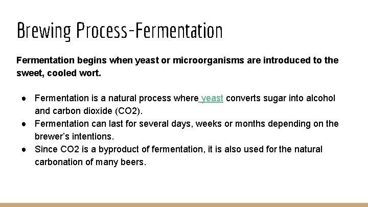 Brewing Process-Fermentation begins when yeast or microorganisms are introduced to the sweet, cooled wort.