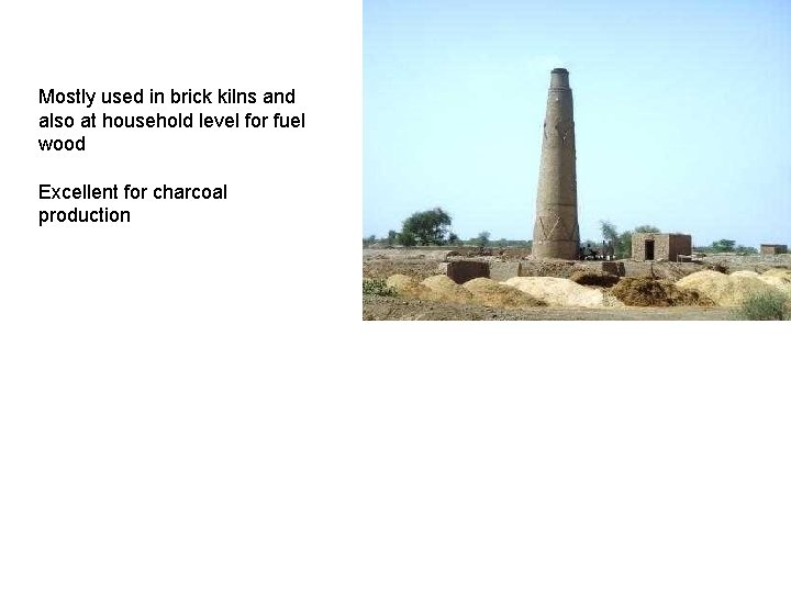 Mostly used in brick kilns and also at household level for fuel wood Excellent