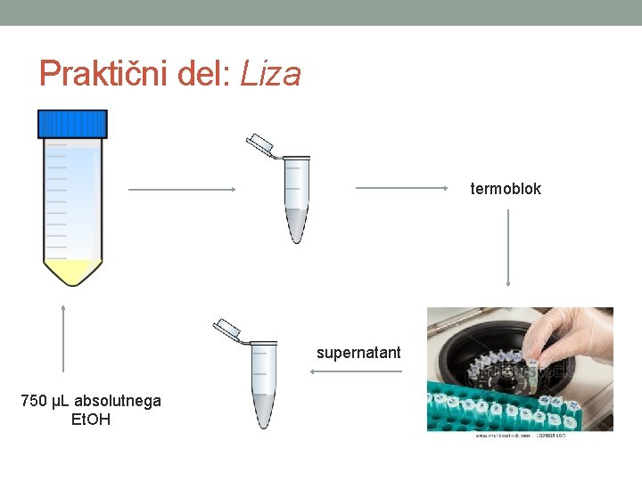 Praktični del: Liza termoblok supernatant 750 µL absolutnega Et. OH 