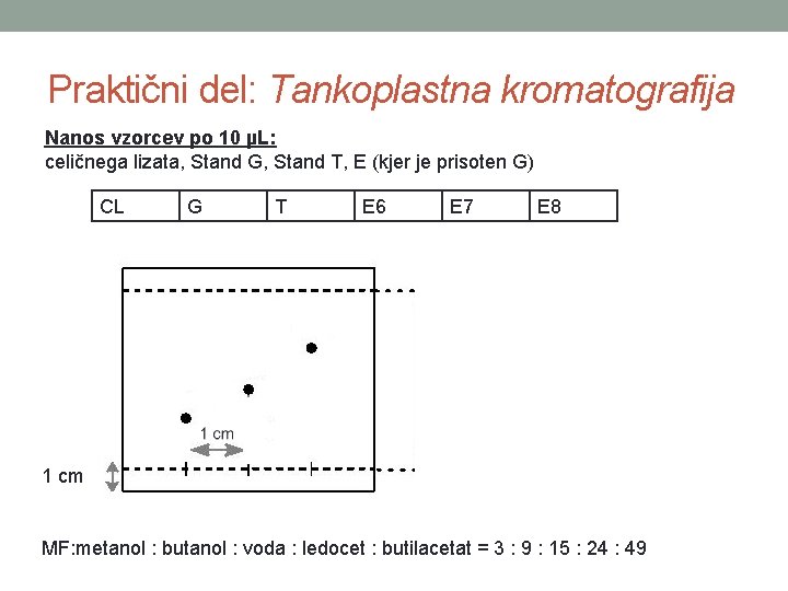 Praktični del: Tankoplastna kromatografija Nanos vzorcev po 10 µL: celičnega lizata, Stand G, Stand