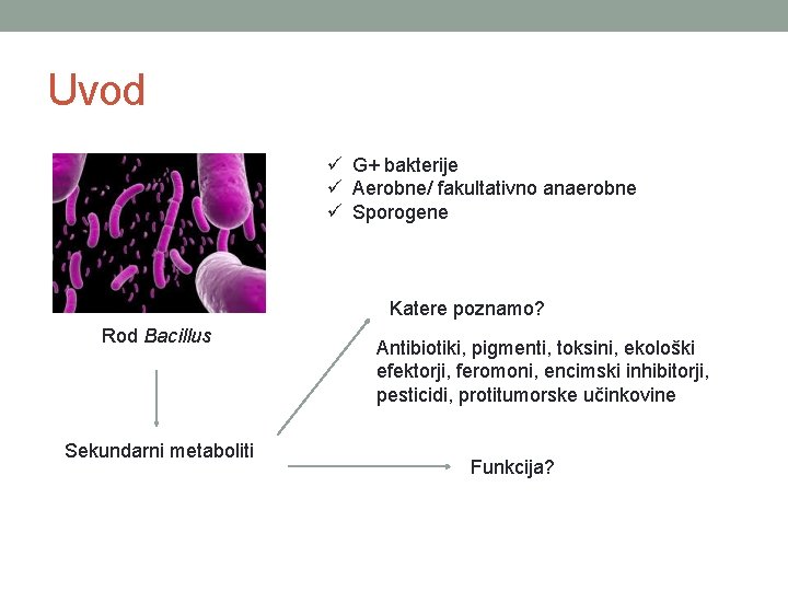 Uvod ü G+ bakterije ü Aerobne/ fakultativno anaerobne ü Sporogene Katere poznamo? Rod Bacillus