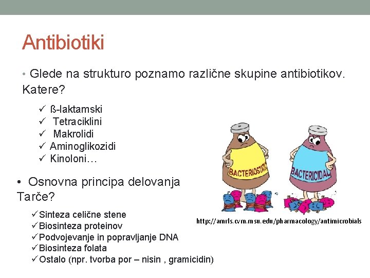 Antibiotiki • Glede na strukturo poznamo različne skupine antibiotikov. Katere? ü ü ü ß-laktamski