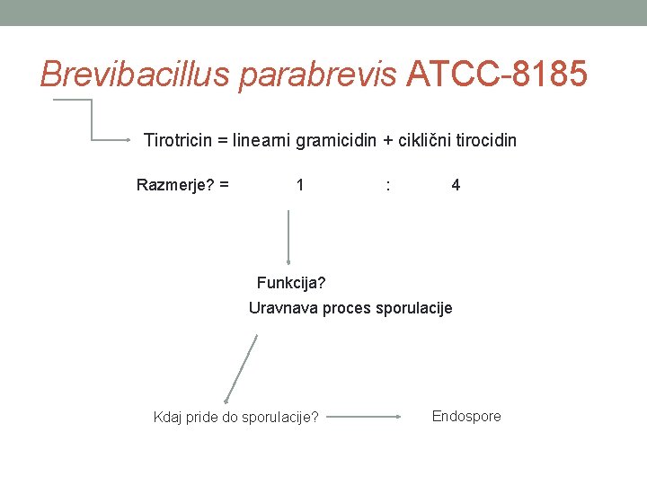 Brevibacillus parabrevis ATCC-8185 Tirotricin = linearni gramicidin + ciklični tirocidin Razmerje? = 1 :