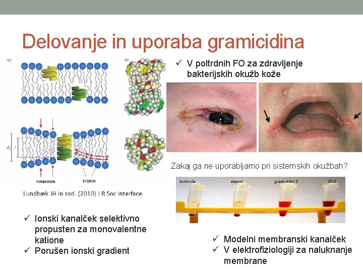 Delovanje in uporaba gramicidina ü V poltrdnih FO za zdravljenje bakterijskih okužb kože Zakaj