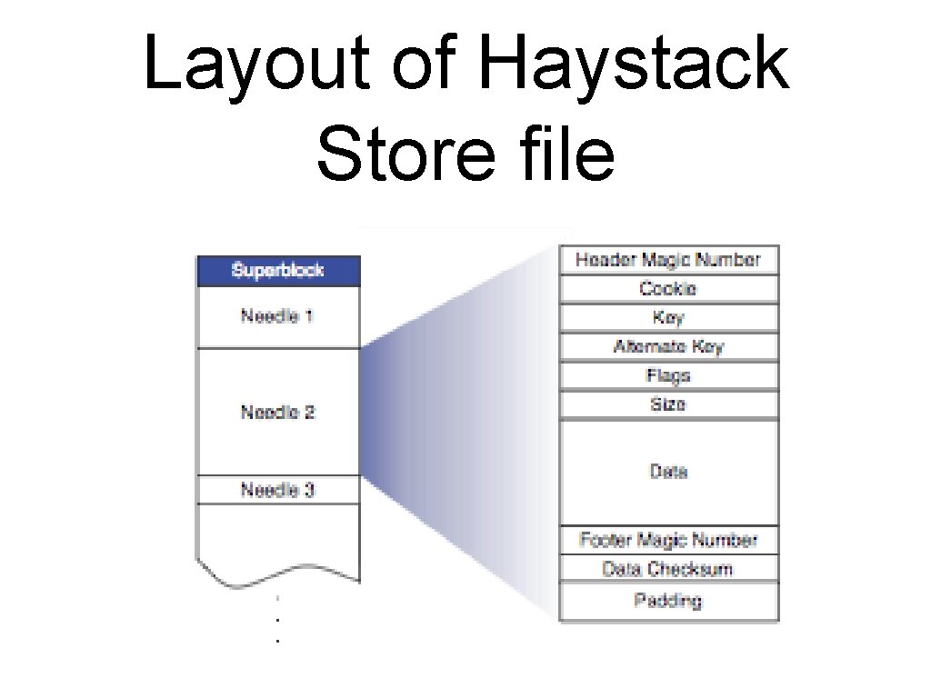 Layout of Haystack Store file 