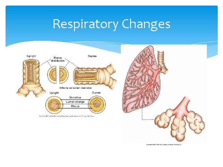 Respiratory Changes 