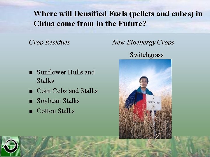Where will Densified Fuels (pellets and cubes) in China come from in the Future?