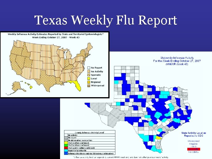 Texas Weekly Flu Report 