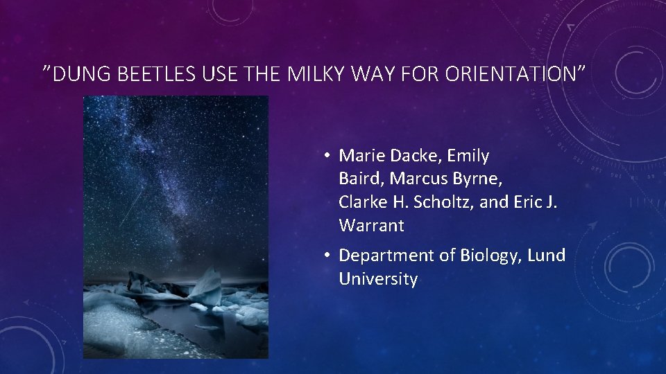 ”DUNG BEETLES USE THE MILKY WAY FOR ORIENTATION” • Marie Dacke, Emily Baird, Marcus