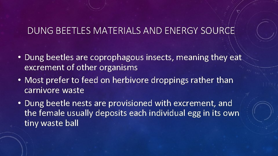 DUNG BEETLES MATERIALS AND ENERGY SOURCE • Dung beetles are coprophagous insects, meaning they