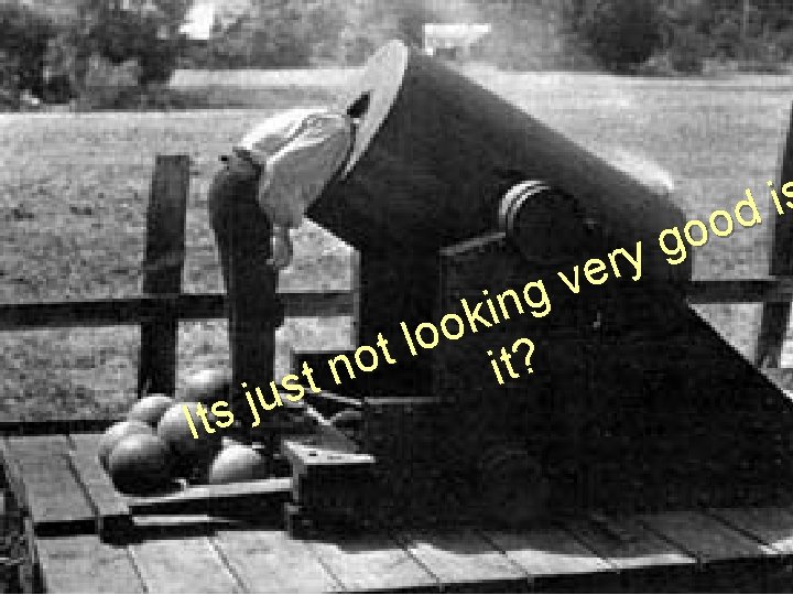 s i d o o g y r e v g n i k