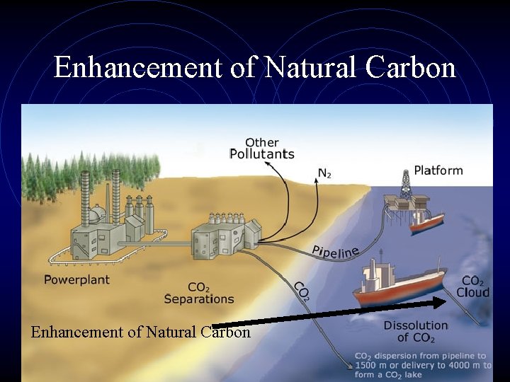 Enhancement of Natural Carbon 