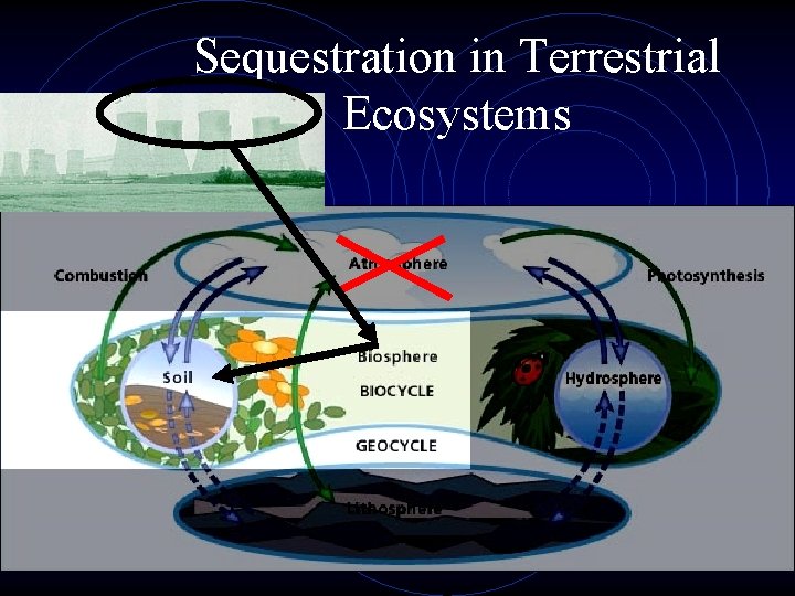 Sequestration in Terrestrial Ecosystems 