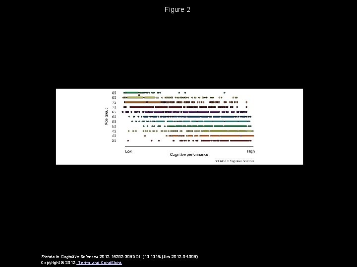 Figure 2 Trends in Cognitive Sciences 2012 16292 -305 DOI: (10. 1016/j. tics. 2012.