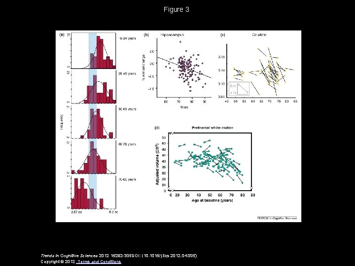 Figure 3 Trends in Cognitive Sciences 2012 16292 -305 DOI: (10. 1016/j. tics. 2012.