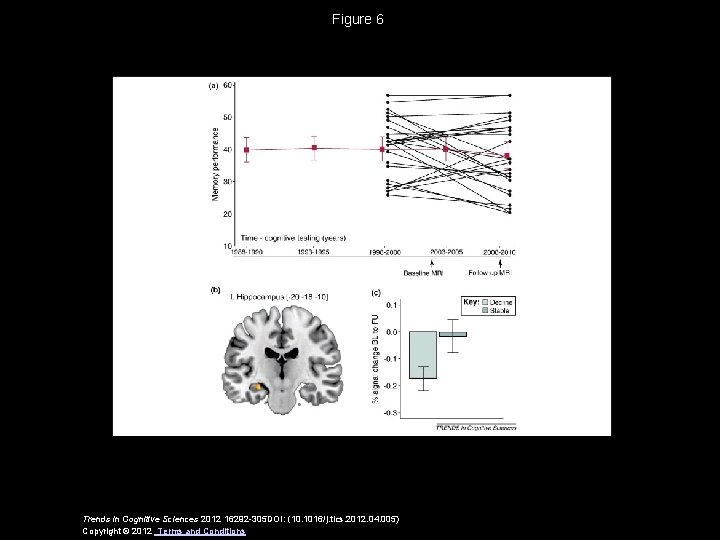 Figure 6 Trends in Cognitive Sciences 2012 16292 -305 DOI: (10. 1016/j. tics. 2012.