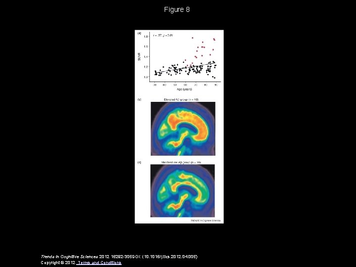 Figure 8 Trends in Cognitive Sciences 2012 16292 -305 DOI: (10. 1016/j. tics. 2012.