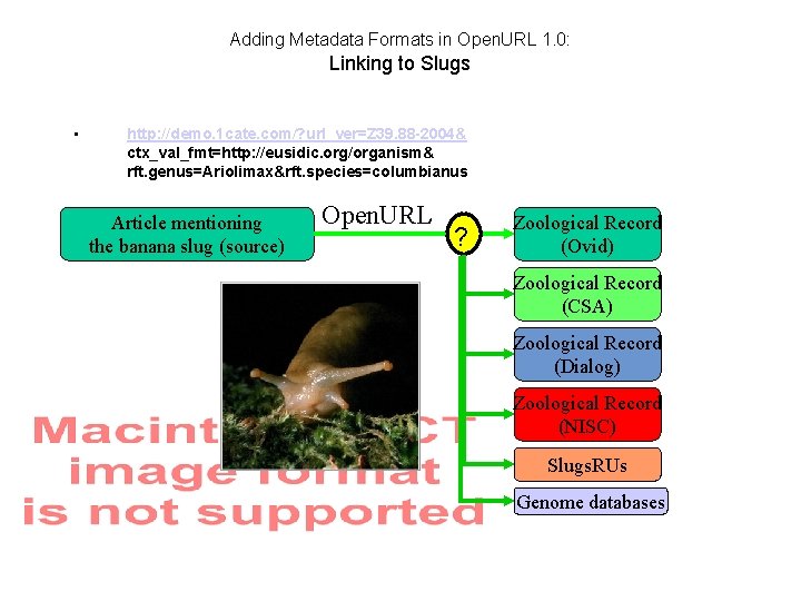 Adding Metadata Formats in Open. URL 1. 0: Linking to Slugs • http: //demo.