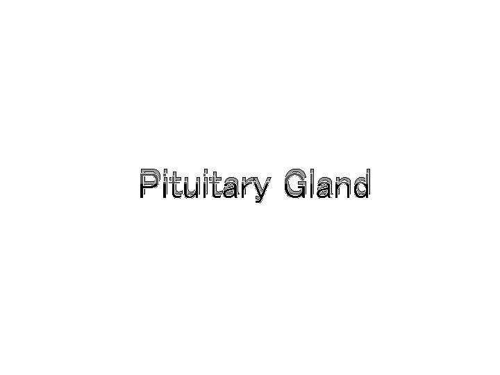 Pituitary Gland Pituitary Gland