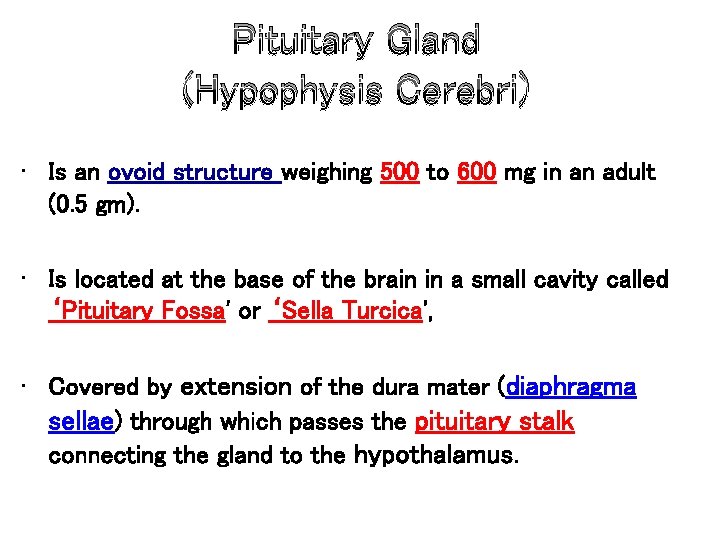 Pituitary Gland (Hypophysis Cerebri) • Is an ovoid structure weighing 500 to 600 mg Pituitary Gland (Hypophysis Cerebri) • Is an ovoid structure weighing 500 to 600 mg