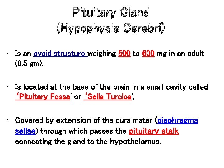 Pituitary Gland (Hypophysis Cerebri) • Is an ovoid structure weighing 500 to 600 mg