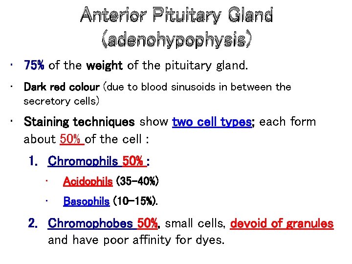 Anterior Pituitary Gland (adenohypophysis) • 75% of the weight of the pituitary gland. •