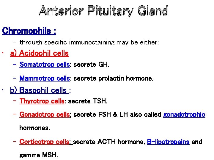 Anterior Pituitary Gland Chromophils : – through specific immunostaining may be either: • a)