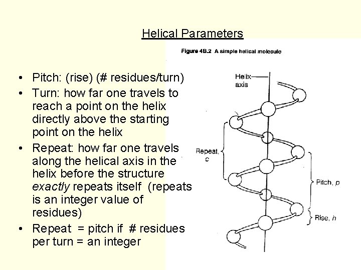 Helical Parameters • Pitch: (rise) (# residues/turn) • Turn: how far one travels to