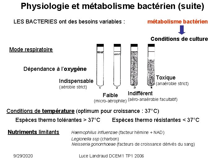 Physiologie et métabolisme bactérien (suite) LES BACTERIES ont des besoins variables : métabolisme bactérien