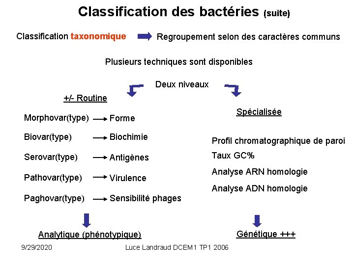 Classification des bactéries (suite) Classification taxonomique Regroupement selon des caractères communs Plusieurs techniques sont