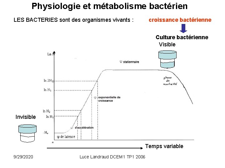 Physiologie et métabolisme bactérien LES BACTERIES sont des organismes vivants : croissance bactérienne Culture