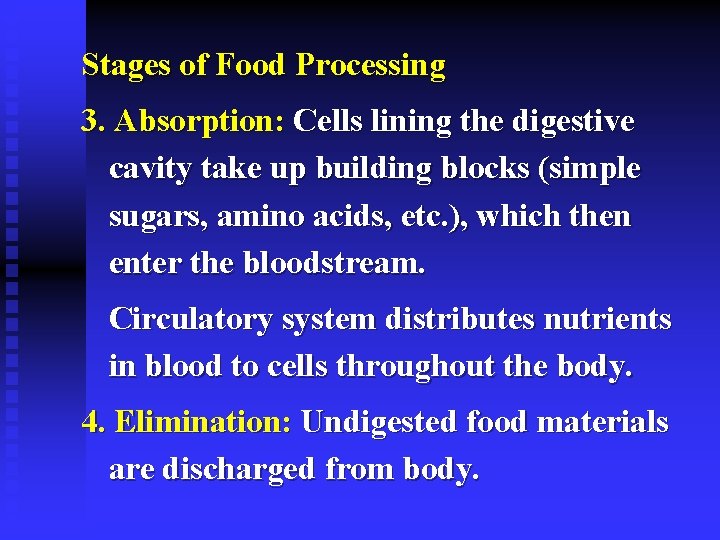 Stages of Food Processing 3. Absorption: Cells lining the digestive cavity take up building