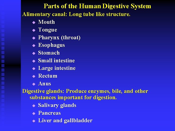 Parts of the Human Digestive System Alimentary canal: Long tube like structure. u Mouth