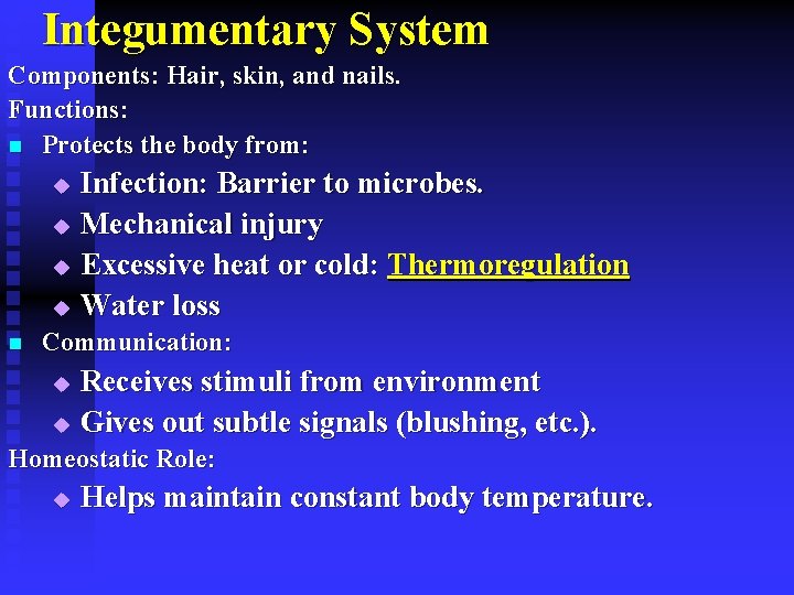 Integumentary System Components: Hair, skin, and nails. Functions: n Protects the body from: Infection: