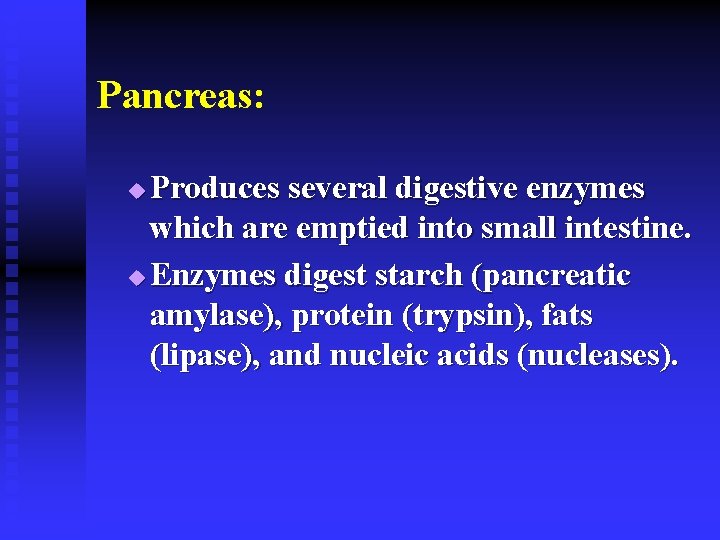 Pancreas: Produces several digestive enzymes which are emptied into small intestine. u Enzymes digest