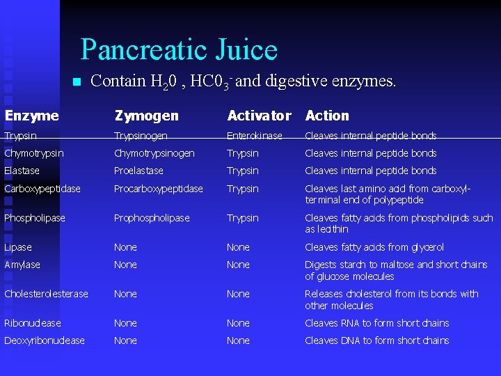 Pancreatic Juice n Contain H 20 , HC 03 - and digestive enzymes. Enzyme