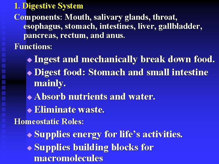 1. Digestive System Components: Mouth, salivary glands, throat, esophagus, stomach, intestines, liver, gallbladder, pancreas,