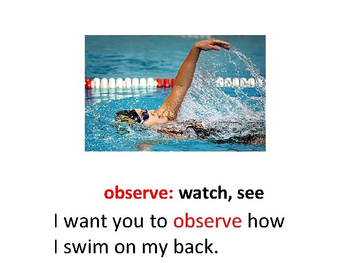 observe: watch, see I want you to observe how I swim on my back.