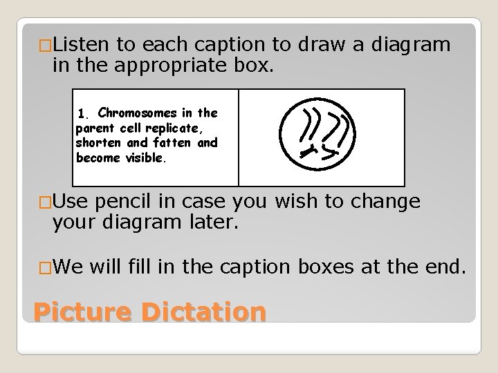 �Listen to each caption to draw a diagram in the appropriate box. 1. Chromosomes