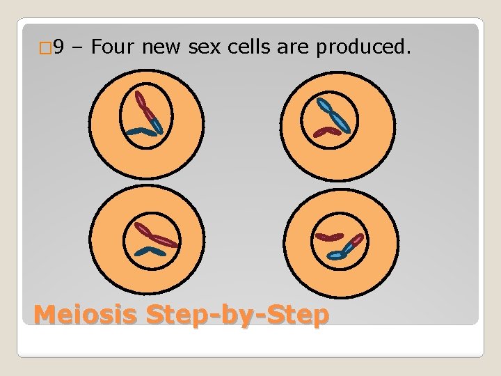 � 9 – Four new sex cells are produced. Meiosis Step-by-Step 