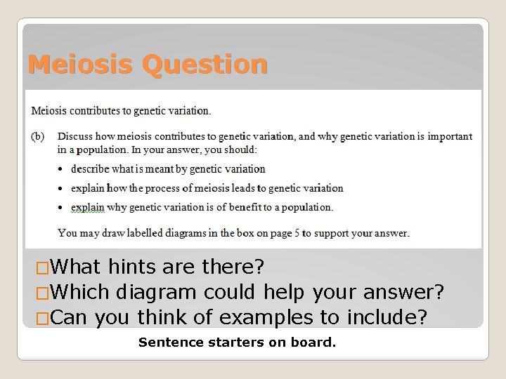 Meiosis Question �What hints are there? �Which diagram could help your answer? �Can you