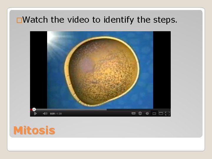 �Watch the video to identify the steps. Mitosis 