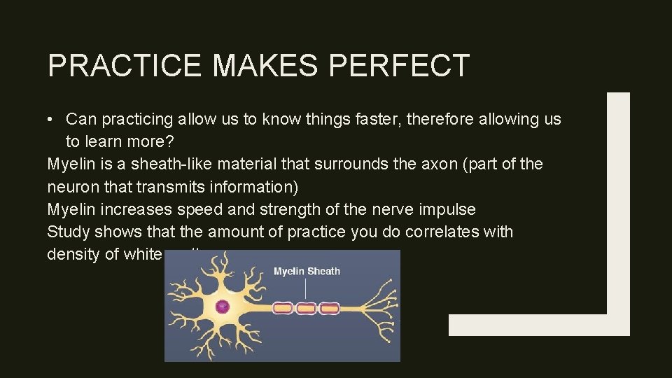 PRACTICE MAKES PERFECT • Can practicing allow us to know things faster, therefore allowing